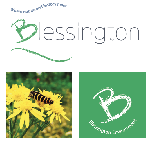 Blessington logo